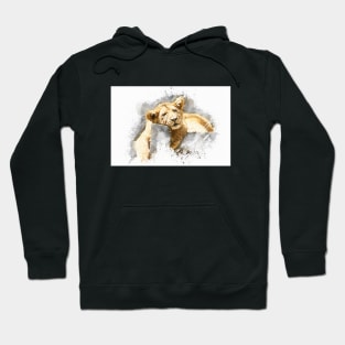 Lion Animal Wildlife Jungle Nature Safari Adventure Discovery Africa Digital Painting Hoodie